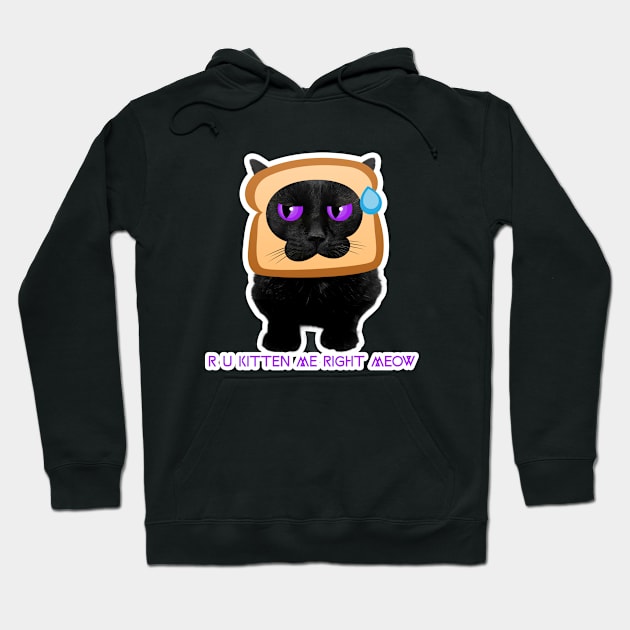 Srly? R U Kitten Me? Funny Cat Quote Hoodie by DAGHO